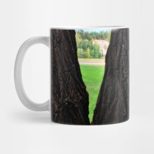 Looking at the River from in between the Trees Mug